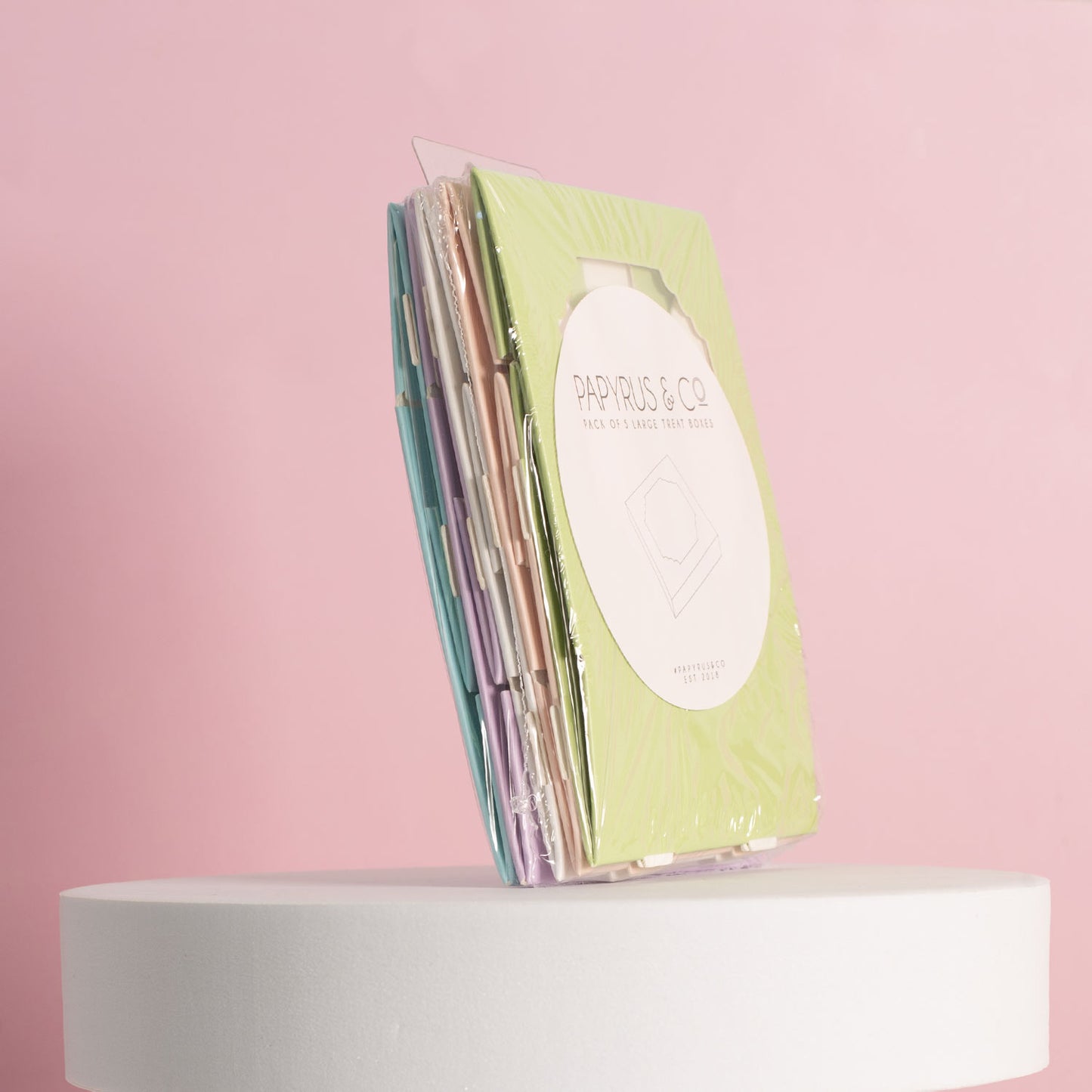 Treat Box (Pack of 5) PAPYRUS Scalloped SMALL - MIXED COLOURS