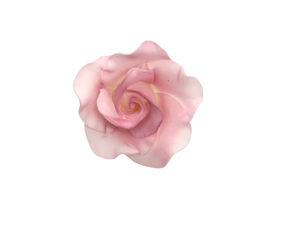 Edible Rose | Medium | Pink
