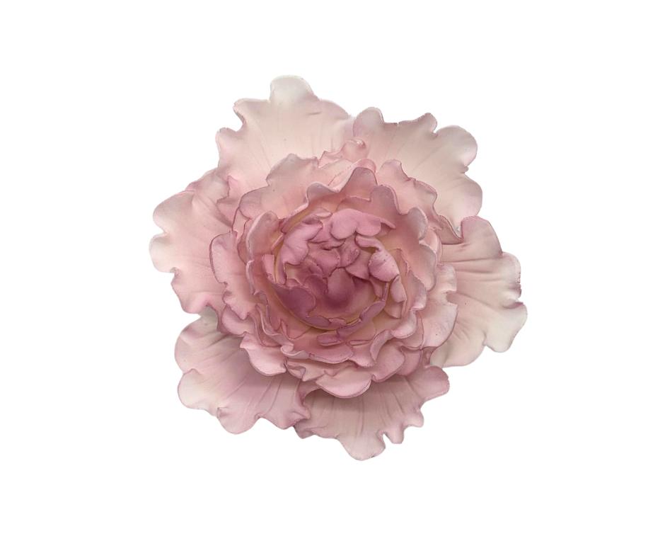 Edible Flower | Closed Peony | Pink | Large