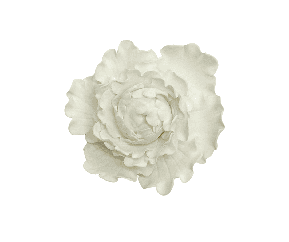 Edible Flower | Closed Peony | White | Large
