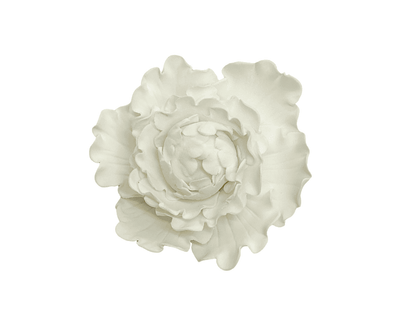 Edible Flower | Closed Peony | White | Large