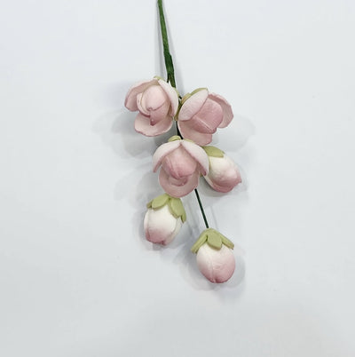 Cluster Rose Dusky Pink
