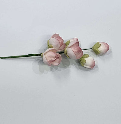 Cluster Rose Dusky Pink