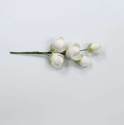 Cluster Rose White