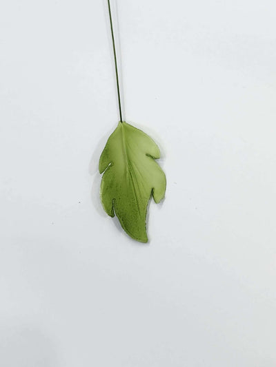 Edible Fancy Leaf