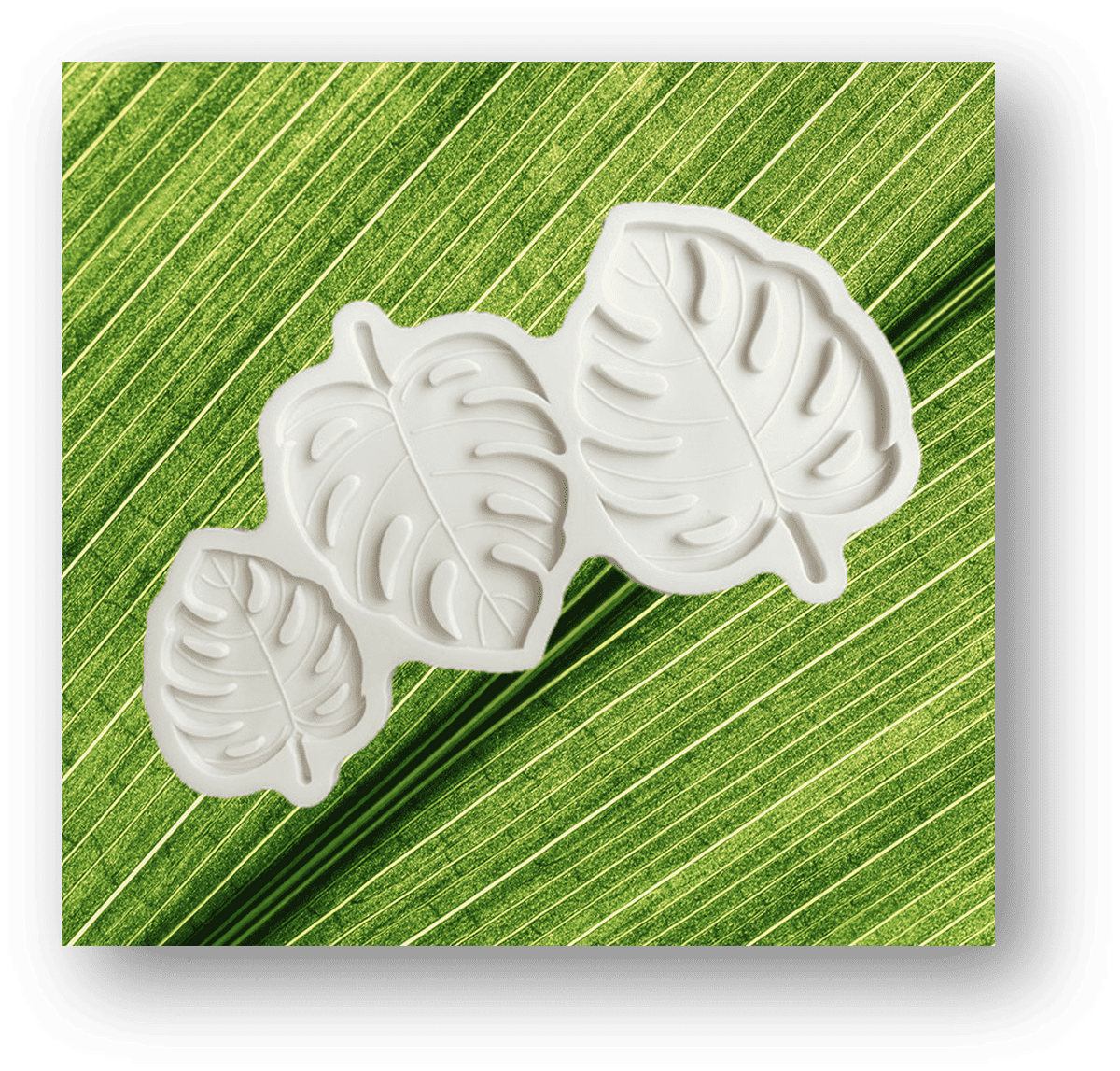 Silicone Mould Monstera (3 Sizes)