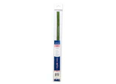 LOYAL Floral Wire 30g Green Floral Wire