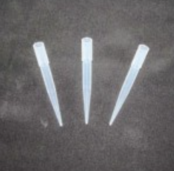 Flower Picks Large Pack 10