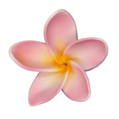 Edible Frangipani flower | Large | Pink + Yellow SL