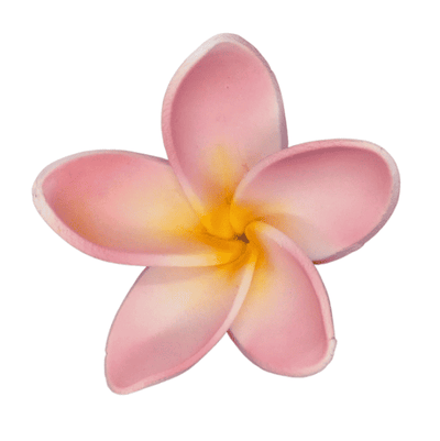 Edible Frangipani flower | Large | Pink + Yellow SL
