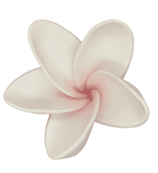 Edible Frangipani flower | Small | White + Pink IMPORTED