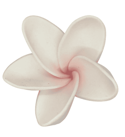 Edible Frangipani flower | Petite | White + Pink IMPORTED