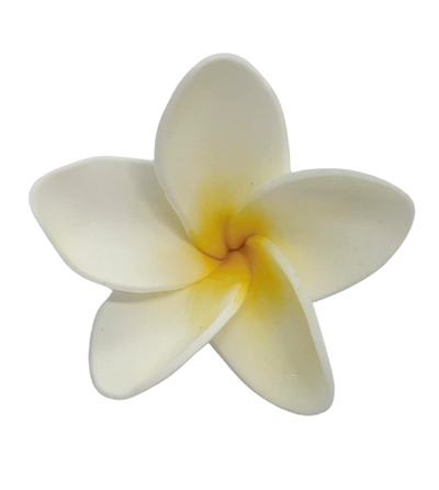 Edible Frangipani flower | Petite | White + Yellow IMPORTED