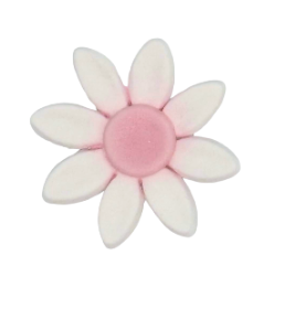 Edible Daisy flower | Small | Pink