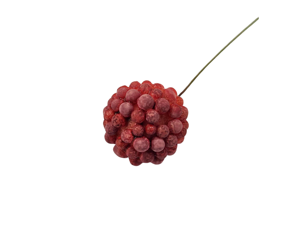 Red Native Berry - Edible