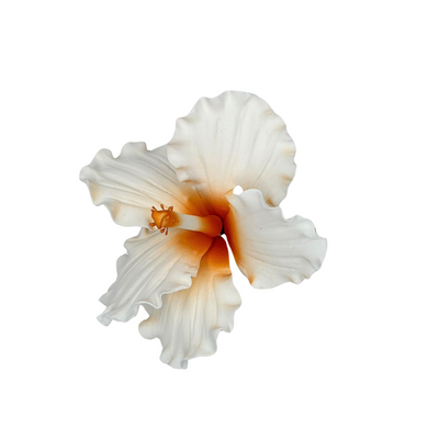Edible Hibiscus flower | Large | Orange