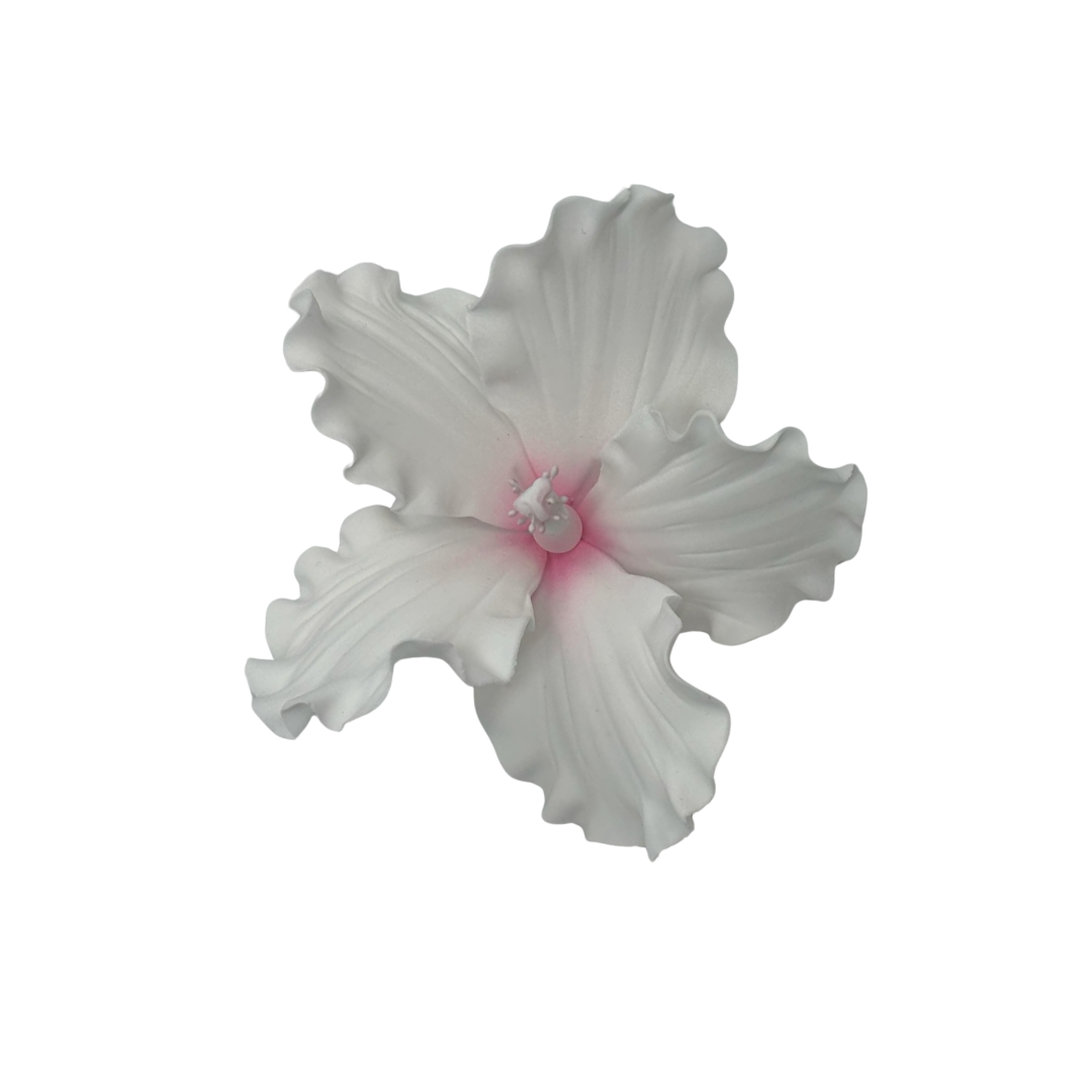 Edible Hibiscus flower | Large | Pink
