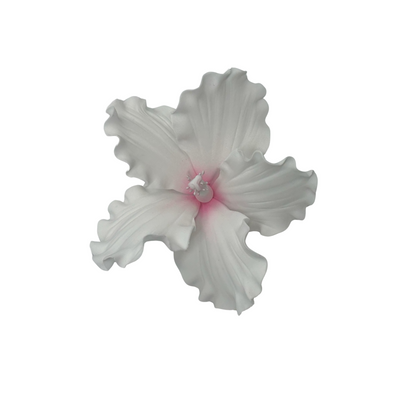 Edible Hibiscus flower | Large | Pink