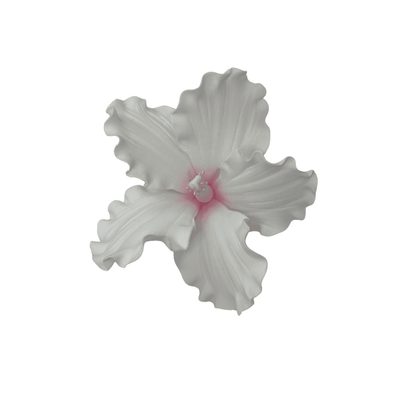 Edible Hibiscus flower | Large | Pink