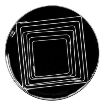 Cookie Cutter S/S Cutter Plain Square Set