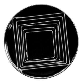 LOYAL Cookie Cutter S/S Cutter Plain Square Set