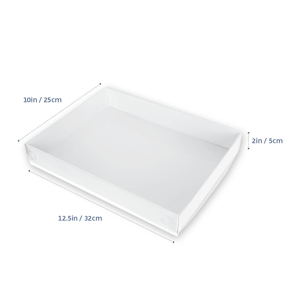 Box XL Biscuit Box 12.5 x 10 x 2 inch Clear Lid