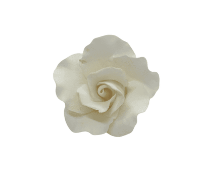 Edible Rose | Medium | Ivory