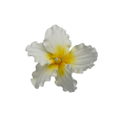 Edible Hibiscus flower | Large | Yellow