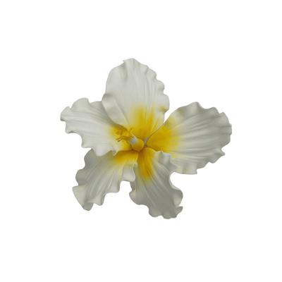 Edible Hibiscus flower | Large | Yellow