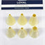 Loyal Set 6 Plastic Assorted Round+Star Tube
