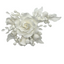 Edible Special Occasion Rose Spray - White