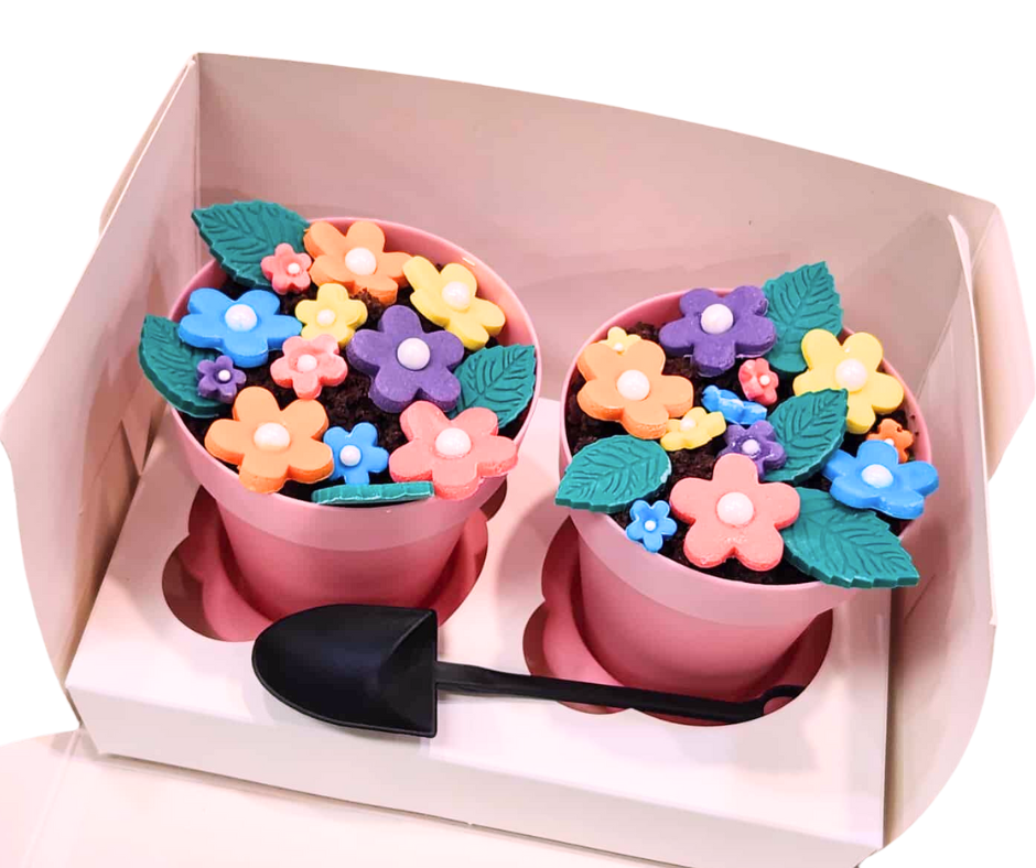 FLOWER POT CAKE CLASS - TUES 23RD SEPT 9.30AM