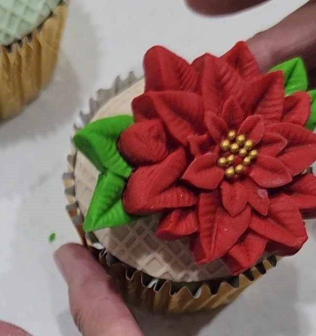 Poinsettia Flower and Leaf Mould