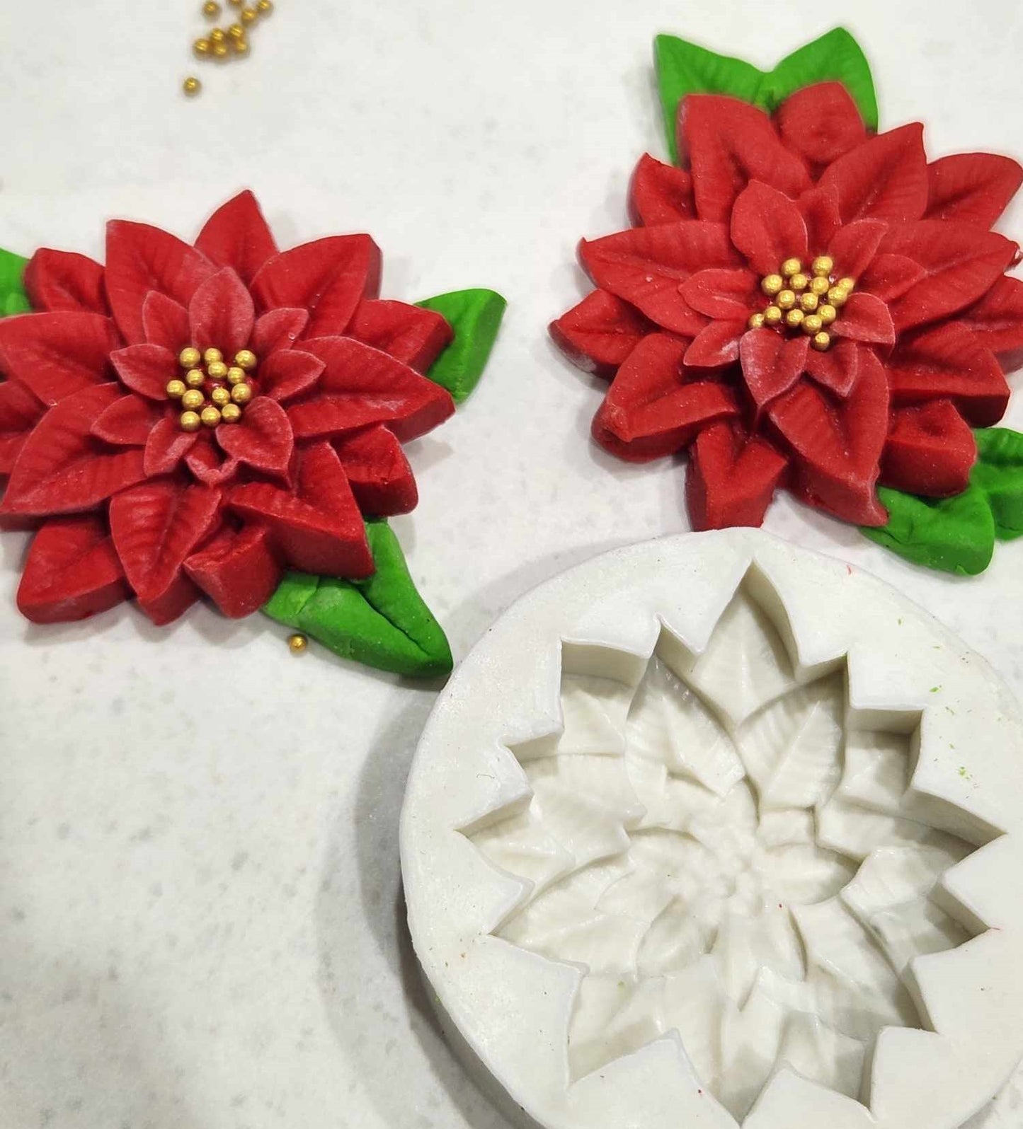 Poinsettia Flower and Leaf Mould