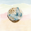 Wafer Butterflies 15 pack Teal
