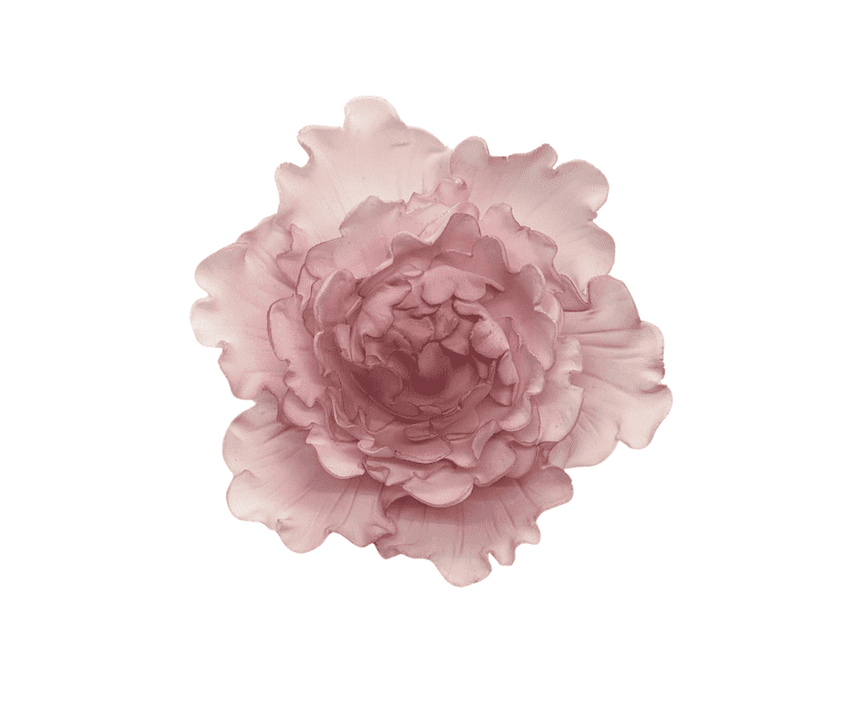 Edible Flower Closed Peony Pink Large