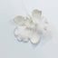 Moth Orchid White