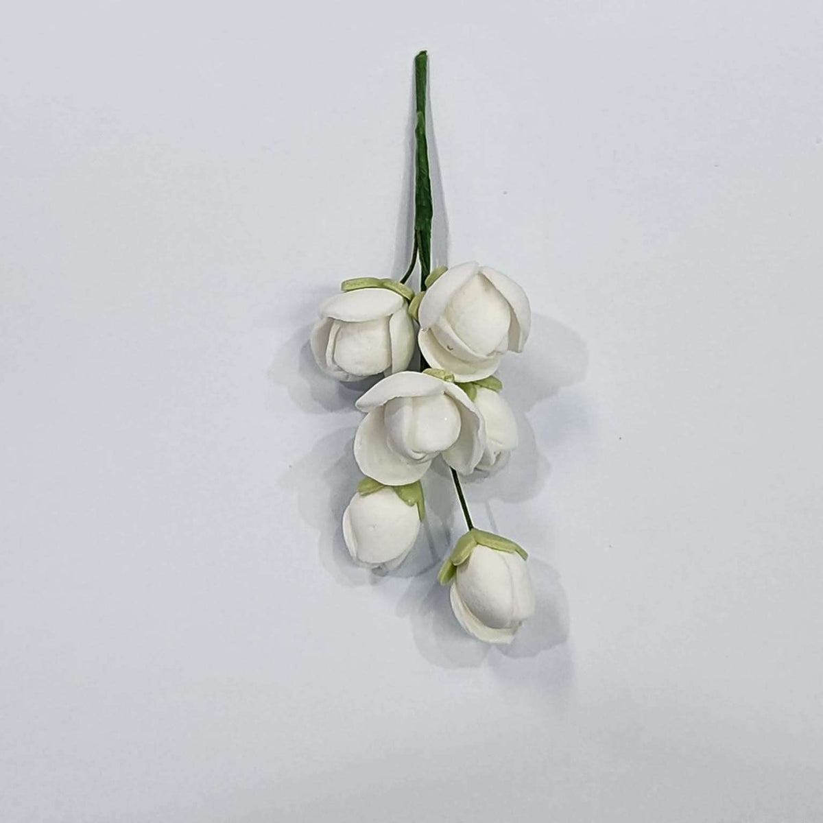 Cluster Rose White – view 2