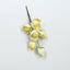 Cluster Rose Yellow