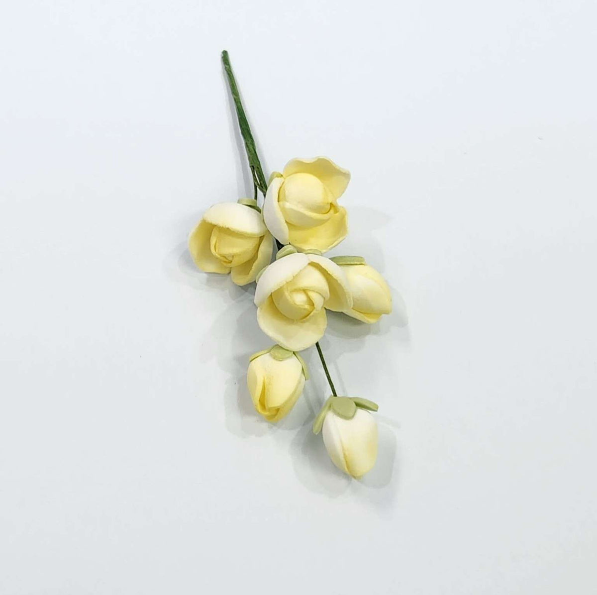 Cluster Rose Yellow – view 2
