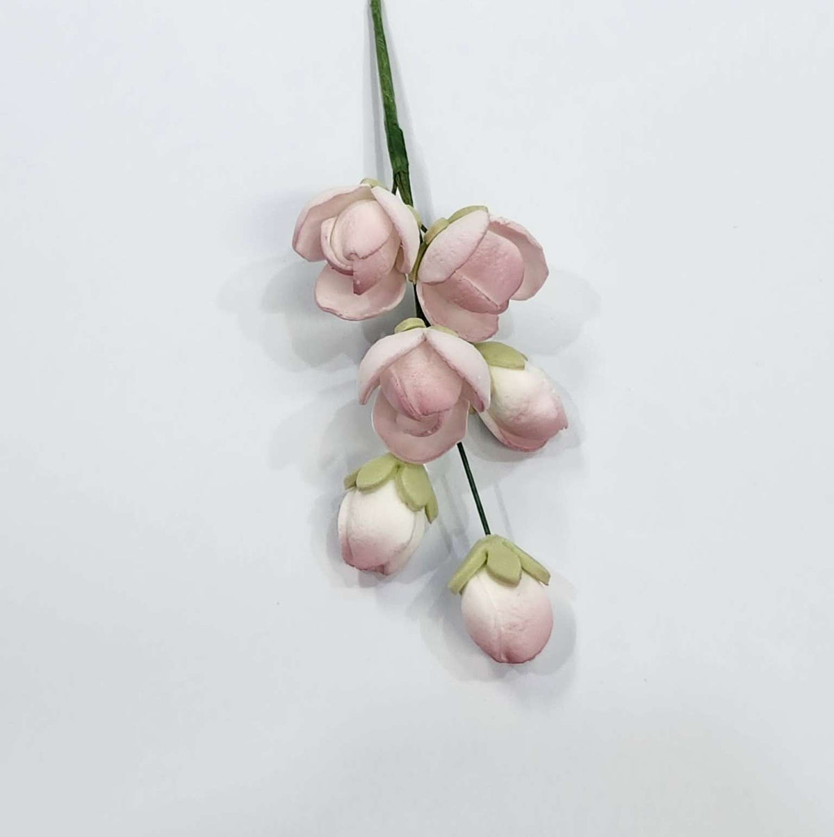 Cluster Rose Dusky Pink – view 2
