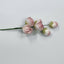 Cluster Rose Dusky Pink