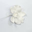 Moth Orchid White