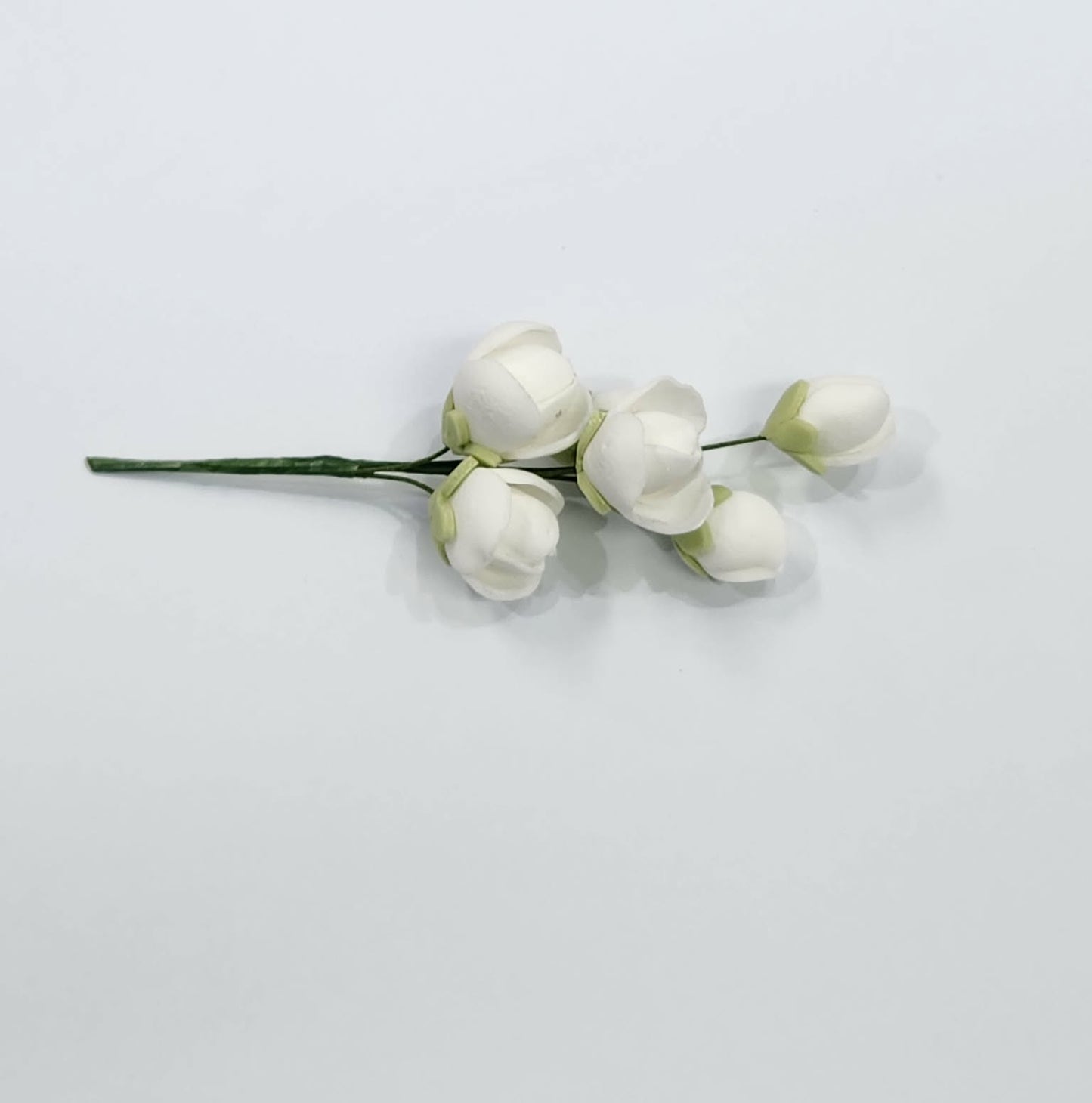 Cluster Rose White