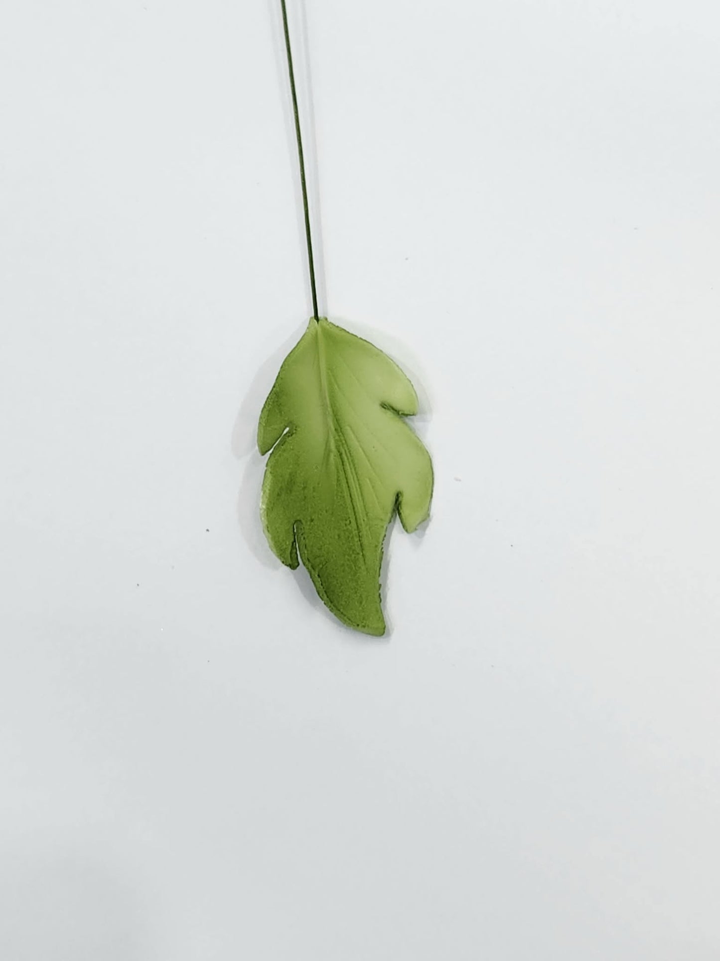 Edible Fancy Leaf