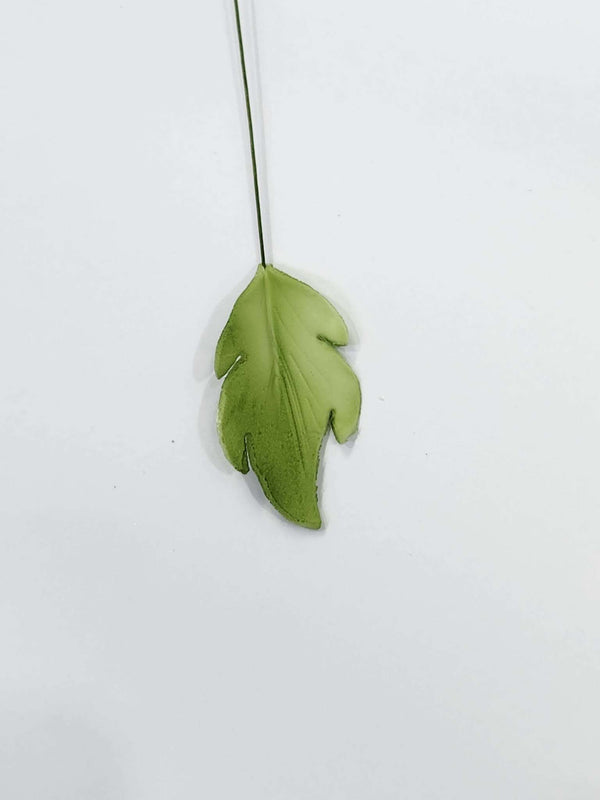Edible Fancy Leaf