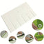 Plastic Petal Leaves Veining Board