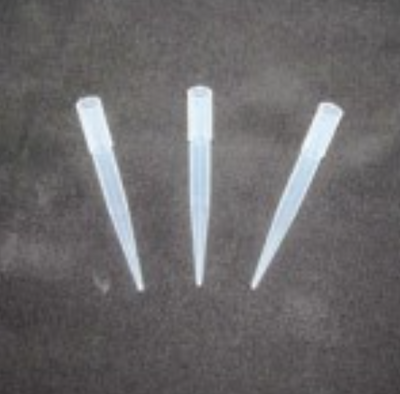 Flower Picks Large Pack 10