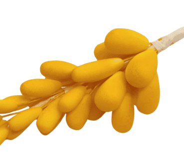 Edible Berry 20pc Stem Golden Yellow – view 2