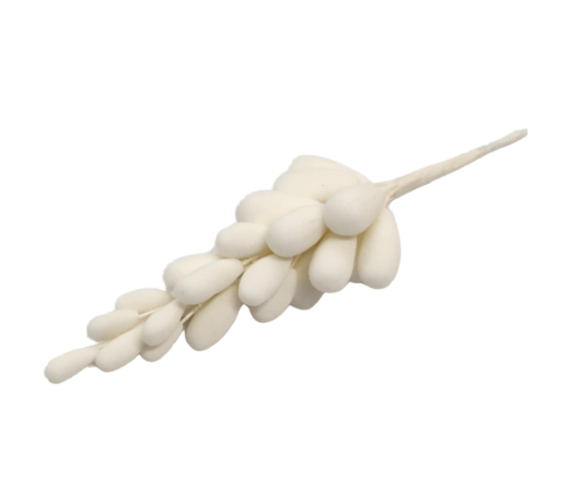 Edible Berry| 20pc Stem | White